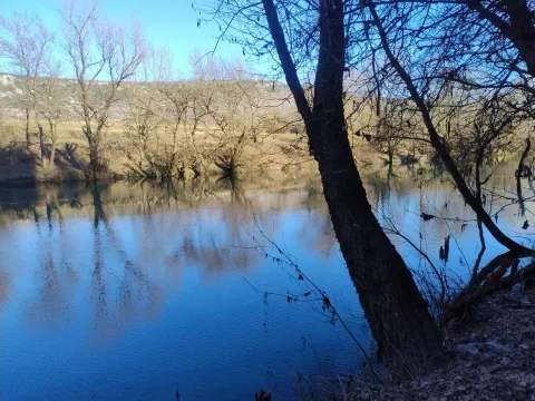 Prodaja, plac, 6100m², Frutak, Danilovgrad - image 4