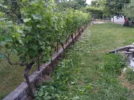 Prodaja, kuća, 1300m², Danilovgrad, Crna Gora - image 2