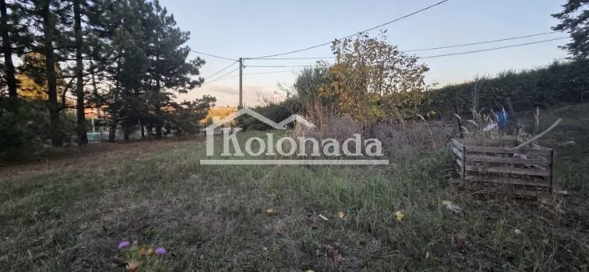 Pogled na dvorište i zelenilo oko kuće.