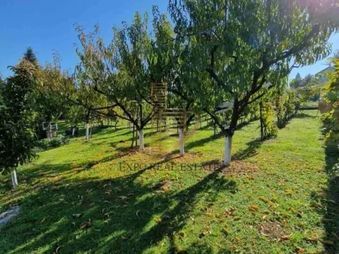 Prodaja, kuća, 160m², Čerević, Beočin - image 14