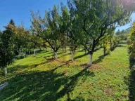 Prodaja, kuća, 160m², Čerević, Beočin - image 14