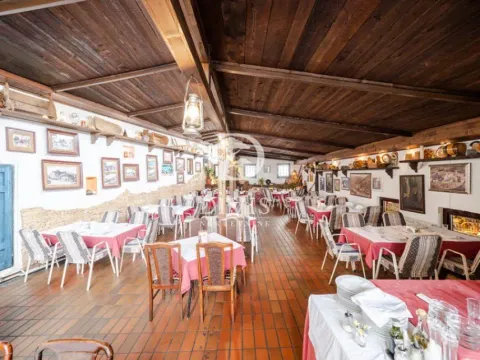 Prodaja, poslovni prostor, 286m², Hala Pionir, Palilula Sve Podlokacije - image 11