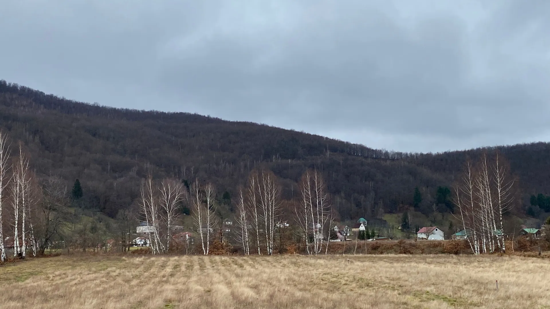 Prodaja, plac, 5617m², Podbišće, Mojkovac