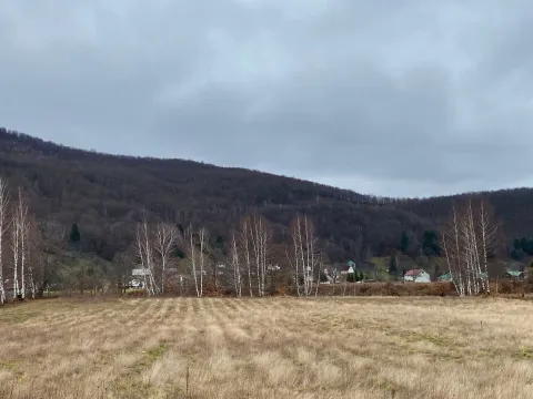 Prodaja, plac, 5617m², Podbišće, Mojkovac - image 5