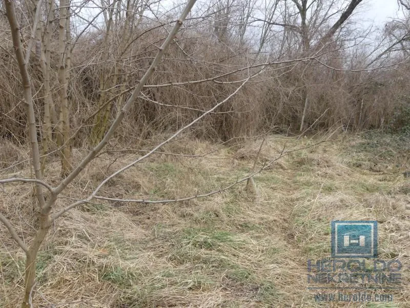 Prodaja, kuća, 60m², Dragocvet, Jagodina
