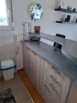 Rent, one bedroom apartment, 59m², Central Point, Podgorica - image 748