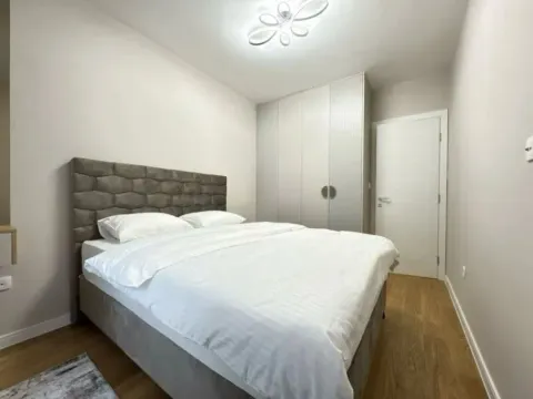 Izdavanje, jednosoban stan, 50m², Central Point, Podgorica - image 8