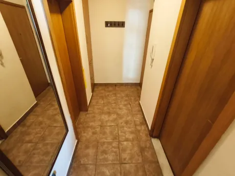 Izdavanje, jednosoban stan, 50m², Ljubović, Podgorica - image 9