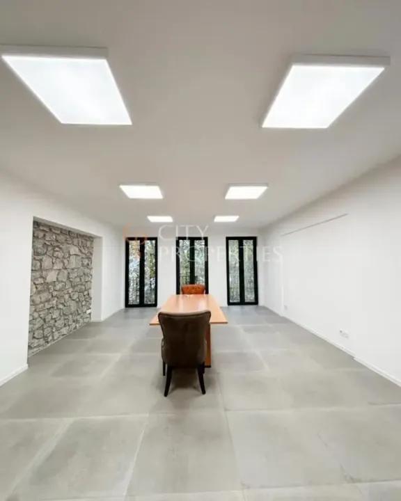 Izdavanje, poslovni prostor, 120m², Centar, Podgorica