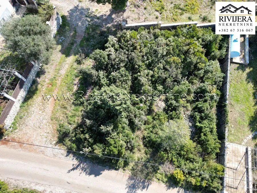 Prodaja, plac, 481m², Herceg Novi, Crna Gora