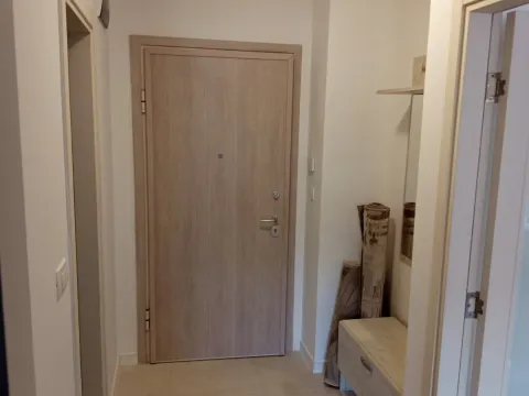 Izdavanje, jednosoban stan, 49m², Central Point, Podgorica - image 9