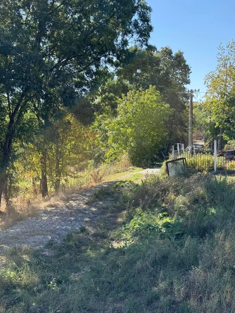 Pogled na plac i prilazni put okružen zelenilom.