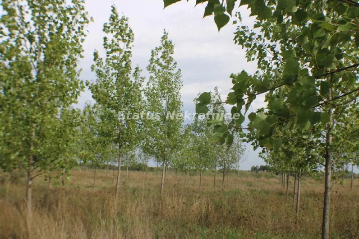 Prodaja, plac, 1378m², Zrenjanin, Srbija