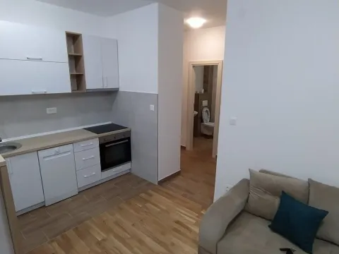Rent, one bedroom apartment, 37m², Zabjelo, Podgorica - image 2