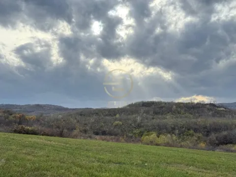 Sale, land lot, 24207m², Beočin, Srbija - image 3