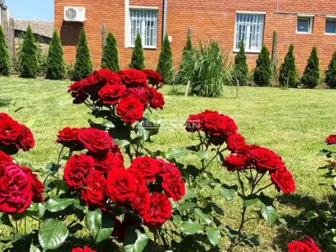 Prodaja, dvosoban stan, 60m², Pančevo, Srbija - image 12