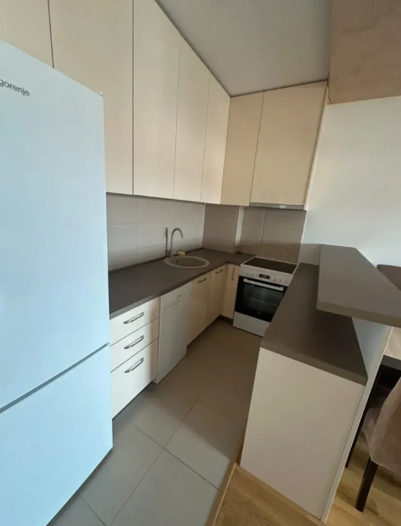 Rent, one bedroom apartment, 48m², Tuški Put, Podgorica
