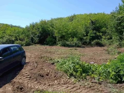 Sale, land lot, 800m², Krčedin, Inđija - image 3