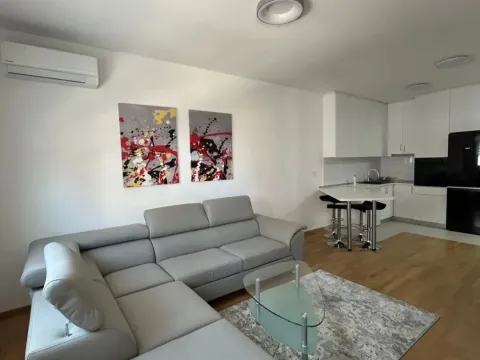 Izdavanje, jednosoban stan, 48m², Stari Aerodrom, Podgorica - image 2