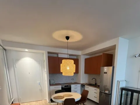 Rent, two bedroom apartment, 54m², Savski Venac, Beograd - image 8