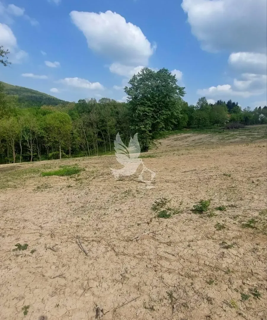 Prodaja, plac, 14000m², Kosmaj, Sopot