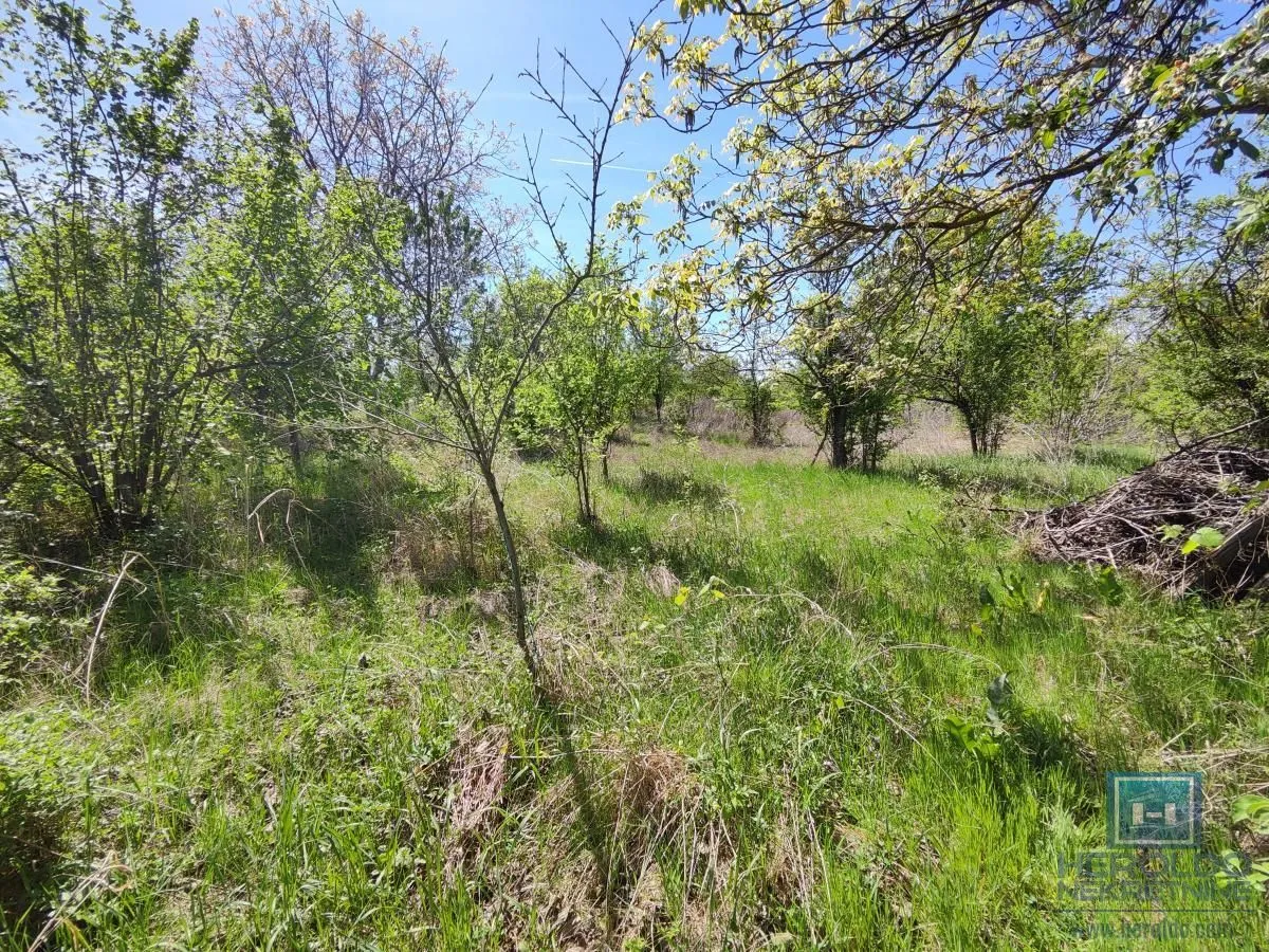 Prodaja, plac, 2345m², Trnava, Jagodina