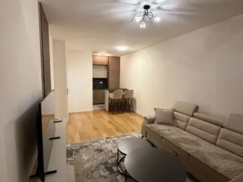 Rent, one bedroom apartment, 47m², Central Point, Podgorica - image 2