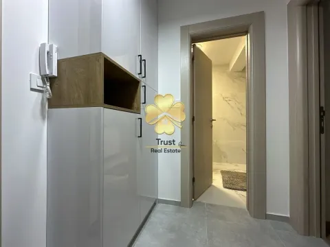 Izdavanje, jednosoban stan, 45m², Stara Varoš, Podgorica - image 7