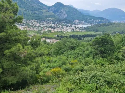 Prodaja, plac, 1690m², Zagrad, Berane - image 3