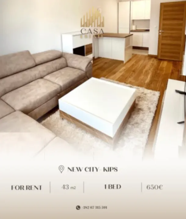 Izdavanje, jednosoban stan, 43m², New City, Podgorica