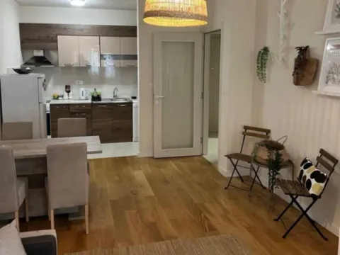 Izdavanje, jednosoban stan, 49m², Central Point, Podgorica - image 4