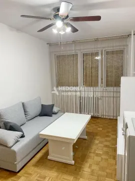 Dnevna soba sa sivom sofom, belim stočićem i prozorima. - image 12