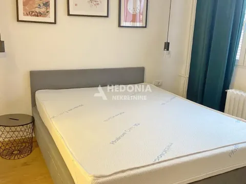 Izdavanje, dvosoban stan, 46m², Stari Grad, Beograd - image 2