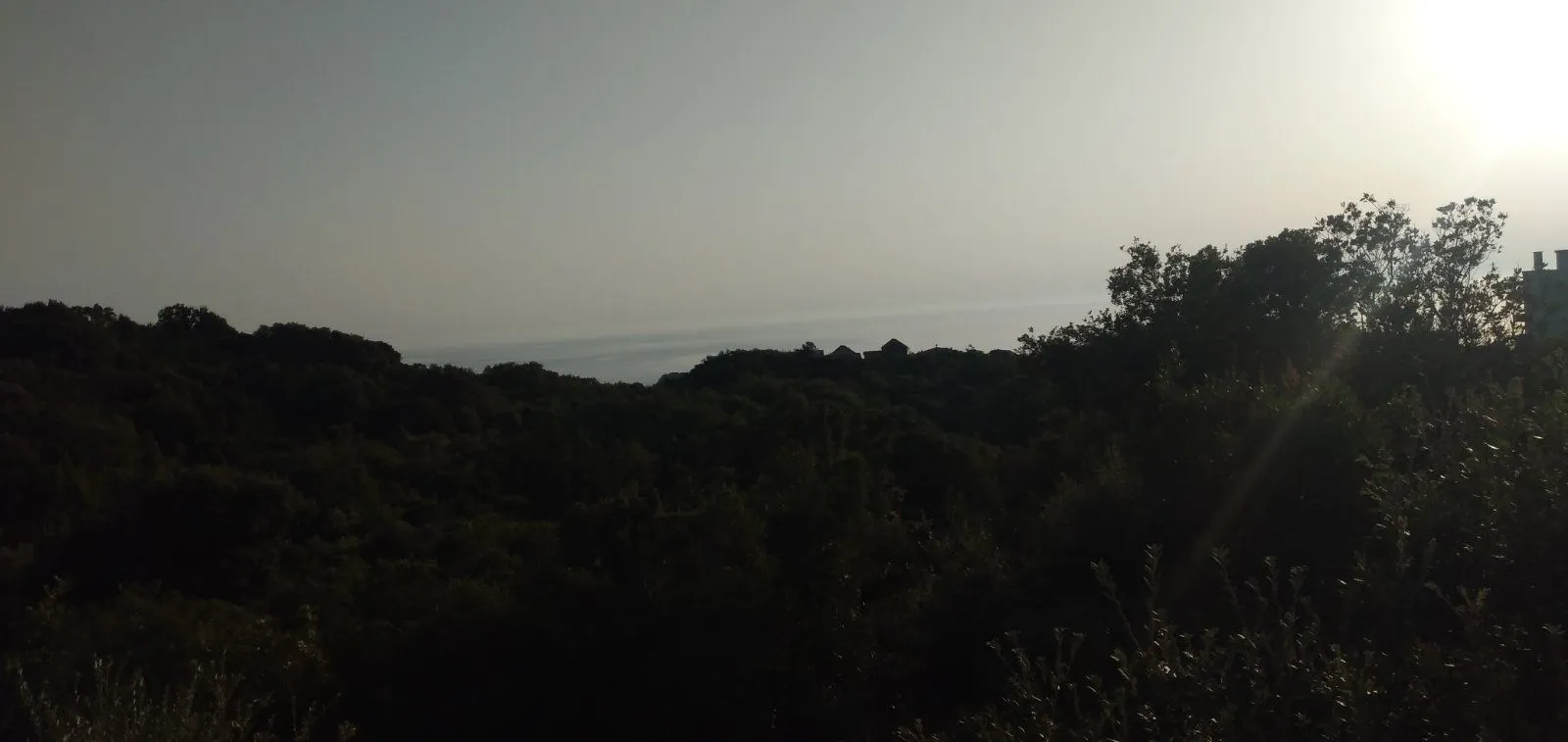 Prodaja, plac, 2000m², Bar, Crna Gora