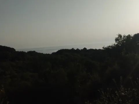 Prodaja, plac, 2000m², Bar, Crna Gora - image 3