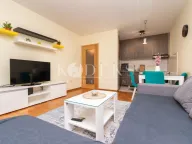 Izdavanje, jednosoban stan, 43m², Stari Aerodrom, Podgorica - image 1