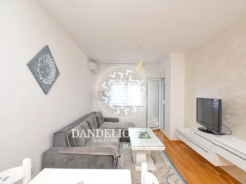 Izdavanje, jednosoban stan, 46m², Stari Aerodrom, Podgorica - image 12