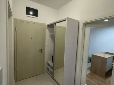 Izdavanje, jednosoban stan, 47m², Zabjelo, Podgorica - image 4