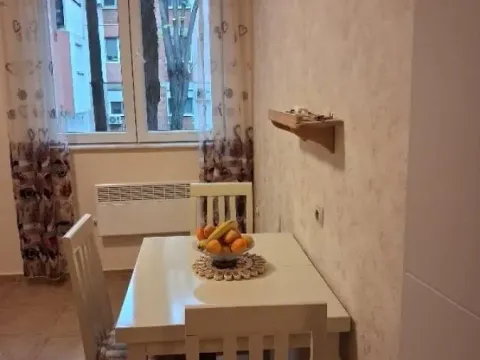 Izdavanje, dvosoban stan, 52m², Karaburma, Palilula Sve Podlokacije - image 4