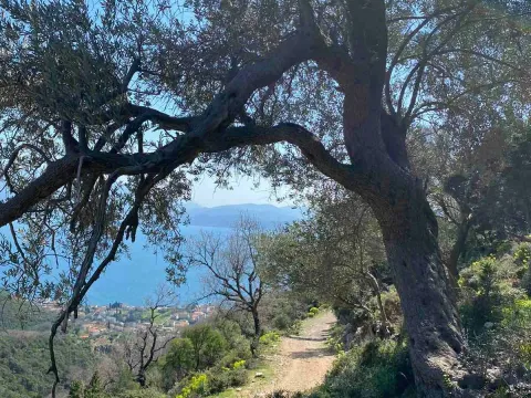 Prodaja, plac, 1000m², Herceg Novi, Crna Gora - image 4