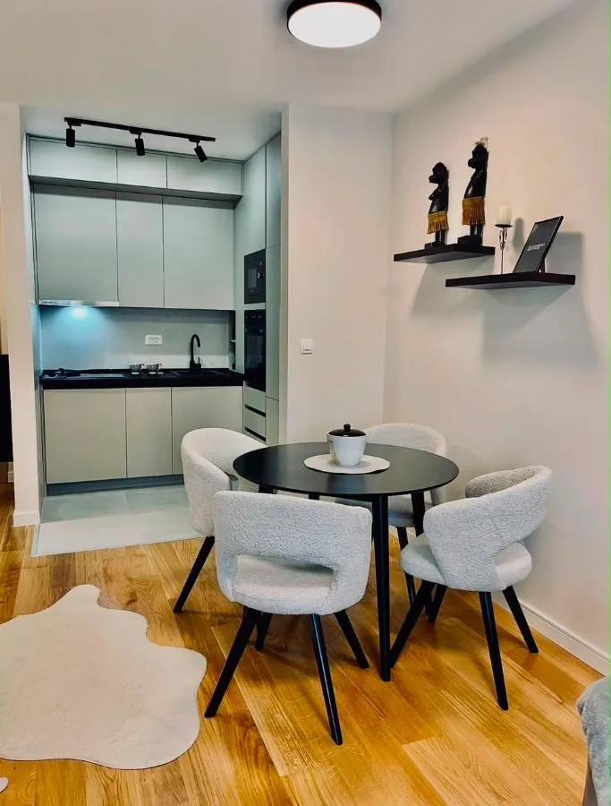 Izdavanje, jednosoban stan, 42m², Central Point, Podgorica