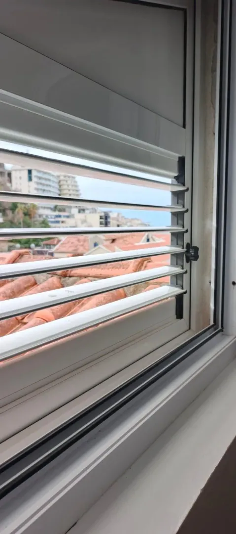View through a window with blinds overlooking the neighborhood and roofs.