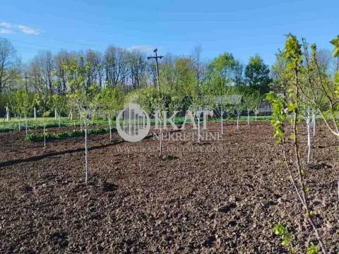 Sale, house, 146m², Velika Ivanča, Mladenovac - image 8