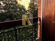 Izdavanje, dvosoban stan, 45m², Bulevar Oslobodjenja, Novi Sad Sve Podlokacije - image 11