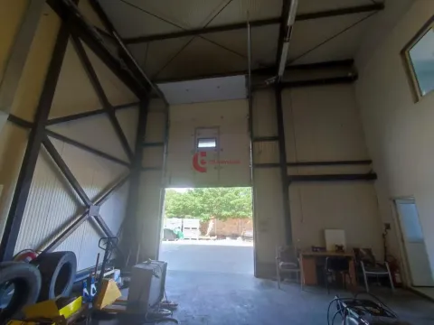 Izdavanje, poslovni prostor, 665m², Bački Vinogradi, Subotica - image 11