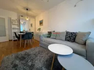 Izdavanje, dvosoban stan, 45m², Nova Detelinara, Novi Sad Sve Podlokacije - image 1