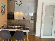 Izdavanje, jednosoban stan, 50m², Central Point, Podgorica - image 4