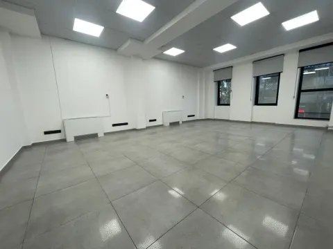 Izdavanje, poslovni prostor, 240m², Sajmište, Novi Sad