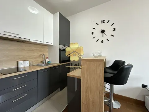 Izdavanje, garsonjera, 25m², Pobrežje, Podgorica - image 7