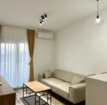 Izdavanje, jednosoban stan, 35m², Zabjelo, Podgorica - image 5